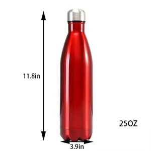 Stainless Steel Sports Insulated Bottle