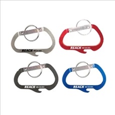 Carabiner with Bottle Opener and Key Ring
